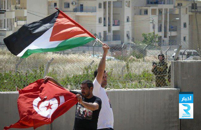 تونس فلسطين