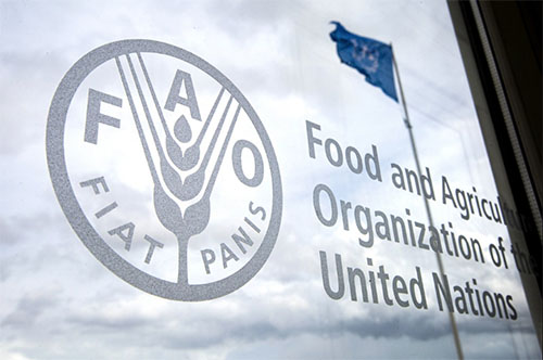 منظّمة الأمم المتّحدة للأغذية والزراعة