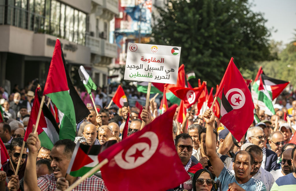 Pro-Palestinian protest in Tunisia